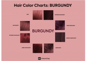 50's Style Les Paul Wiring Diagram Pink Red Hair New Syoss Farben Braun Haarfarbe Silber Foto