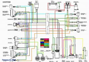 50cc Chinese Scooter Wiring Diagram atv Wiring Diagram Wiring Diagram Centre