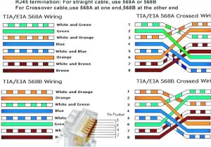 568a Wiring Diagram Ethernet Home Network Wiring Diagram Tech Data Diagrams O Wall Plate