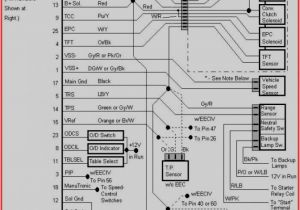 57 Chevy Ignition Switch Wiring Diagram Wiring Diagram for 1996 Chevy Vortec 57l Chevrolet forum Chevy 57 Chevy Ignition Switch Wiring Diagram Wiring Diagram for 1996 Chevy Vortec 57l Chevrolet forum Chevy