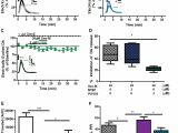 586a Wiring Diagram Activation Of the Mglu 1 Metabotropic Glutamate Receptor Has