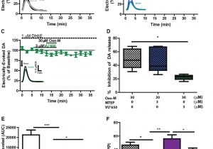 586a Wiring Diagram Activation Of the Mglu 1 Metabotropic Glutamate Receptor Has 586a Wiring Diagram Activation Of the Mglu 1 Metabotropic Glutamate Receptor Has