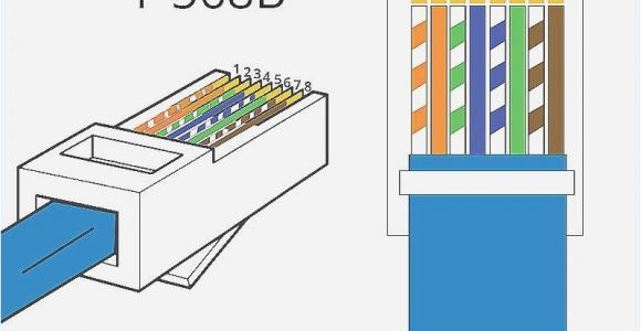 586b Wiring Diagram 586b Wiring Diagram Wiki 4k Home In 2019 Ethernet Wiring Cat6