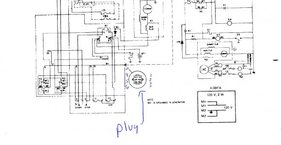 6.5 Onan Generator Wiring Diagram Onan Gas Wiring Diagram Wiring Diagram Basic