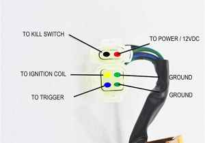 6 Pin Dc Cdi Box Wiring Diagram Gy6 Dc Cdi Wiring Diagram Poli Fuse8 Klictravel Nl