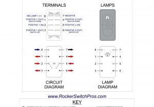 6 Pin On Off On Switch Wiring Diagram 6 Pin Dpdt Switch Wiring Diagram Free Wiring Diagram