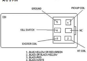 6 Pin Racing Cdi Wiring Diagram Ooracing Performance Monkey Bike Pit Bike Madass Zoomer 6 Pin Racing Cdi Wiring Diagram Ooracing Performance Monkey Bike Pit Bike Madass Zoomer