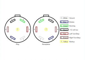 6 Pin Trailer Plug Wiring Diagram Wiring Diagram for 6 Prong Trailer Plug Wiring Diagram User 6 Pin Trailer Plug Wiring Diagram Wiring Diagram for 6 Prong Trailer Plug Wiring Diagram User