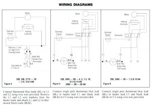 6 Pole Motor Wiring Diagram Wiring Diagram 3 Phase 10 Wire Motor Repalcement Parts and Diagram