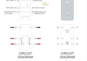 6 Prong toggle Switch Wiring Diagram Dpdt toggle Switch Wiring Diagram Wind Dego21 Vdstappen 6 Prong toggle Switch Wiring Diagram Dpdt toggle Switch Wiring Diagram Wind Dego21 Vdstappen