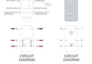 6 Prong toggle Switch Wiring Diagram Dpdt toggle Switch Wiring Diagram Wind Dego21 Vdstappen
