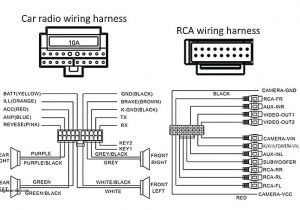 6 Speakers 4 Channel Amp Wiring Diagram Rockford Fosgate Subwoofer Wiring Diagram Wiring Diagram Technic