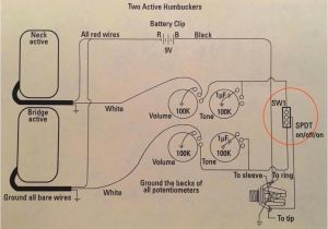 6 Volt Positive Ground Wiring Diagram Positive Ground Wiring Diagram Caribbeancruiseship org