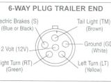 6 Way Trailer Plug Wiring Diagram 6 Pin Trailer Wiring Diagram New 7 Spade Plug Fresh Brake Gallery