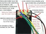 6 Wire Cdi Wiring Diagram Chinese Cdi Wiring Diagram for Wiring Diagram Img