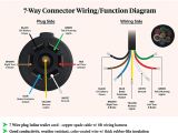 7 Connector Trailer Wiring Diagram Trailer Plug Wire Diagram Kobe Dego19 Vdstappen Loonen Nl