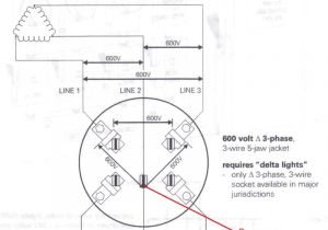 7 Jaw Meter socket Wiring Diagram 7 Jaw Meter socket Wiring Diagram Meter socket Checks