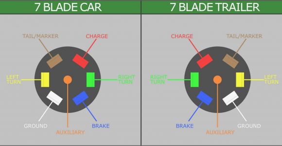 7 Pin Car Trailer Wiring Diagram Unique Wiring Diagram for Car Trailer with Electric Brakes