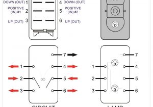 7 Pin Switch Wiring Diagram 7 Pin Rocker Switch Wiring Diagram 7 Pin Switch Wiring Diagram 7 Pin Rocker Switch Wiring Diagram