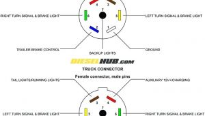 7 Pin Trailer Connector Wiring Diagrams 6 Point Trailer Plug Wiring Diagram Wiring Diagram Show