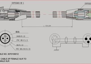 7 Pin Trailer Plug Wire Diagram 7 Wire Round Plug Wiring Diagram 7 Pin Trailer Plug Wire Diagram 7 Wire Round Plug Wiring Diagram