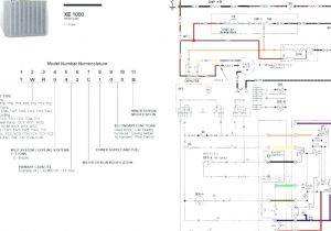 7 Pin Trailer Plug Wiring Diagram Uk Wiring Diagram for 7 Pin Trailer socket Bcberhampur org 7 Pin Trailer Plug Wiring Diagram Uk Wiring Diagram for 7 Pin Trailer socket Bcberhampur org