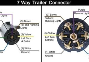 7 Pin Trailer Wiring Diagram Trailer Side Trailer Wiring Diagram for A Trailer Side 7 Way Connector 7 Pin Trailer Wiring Diagram Trailer Side Trailer Wiring Diagram for A Trailer Side 7 Way Connector