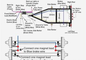 7 Prong Trailer Plug Wiring Diagram 7 Wire Diagram Wiring Diagram Centre