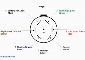 7 Way Rv Trailer Plug Wiring Diagram Circle W Trailer Wiring Diagram My Wiring Diagram