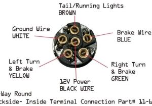 7 Way Semi Trailer Plug Wiring Diagram 7 Way Semi Trailer Plug Wiring Diagram Diagram Semi Trailer
