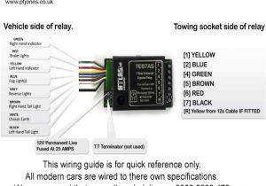 7 Way Universal bypass Relay Wiring Diagram Witter towbar Wiring Diagram 1 Wiring Diagram source 7 Way Universal bypass Relay Wiring Diagram Witter towbar Wiring Diagram 1 Wiring Diagram source