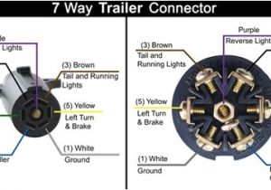 7 Way Vehicle Connector Wiring Diagram 7 Pin Trailer Wiring Diagram 2001 Dodge Diesel Diesel Truck