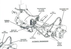 700r4 Transmission Speed Sensor Wiring Diagram Transmission Wiring Chevy 4l60e Diagram Online Wiring Diagram