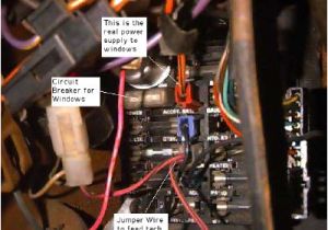 79 Trans Am Wiring Diagram 1979 Firebird Fuse Box Wiring Diagram Paper 79 Trans Am Wiring Diagram 1979 Firebird Fuse Box Wiring Diagram Paper
