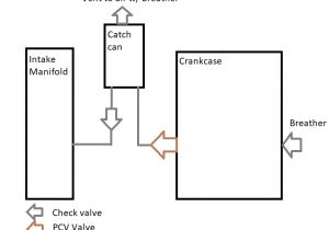 7mgte Wiring Harness Diagram Gtx Besides Vacuum Hose Routing Diagram On 7mgte Engine Diagram 7mgte Wiring Harness Diagram Gtx Besides Vacuum Hose Routing Diagram On 7mgte Engine Diagram