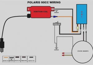 8 Pin Cdi Wiring Diagram Dc Cdi atv Wiring Diagrams Data Schematic Diagram
