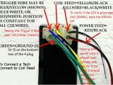 8 Pin Cdi Wiring Diagram Gy6 Cdi Wiring Diagram Book Diagram Schema