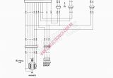 8 Pin Cdi Wiring Diagram Gy6 Wire Diagram 5 Pin Regular Wiring Diagram All
