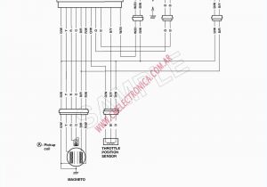 8 Pin Cdi Wiring Diagram Gy6 Wire Diagram 5 Pin Regular Wiring Diagram All