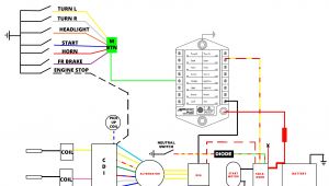 8 Pin Cdi Wiring Diagram Moped Cdi Box Wire Diagram Blog Wiring Diagram