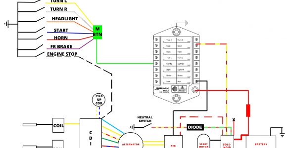 8 Pin Cdi Wiring Diagram Moped Cdi Box Wire Diagram Blog Wiring Diagram