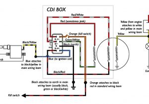 8 Pin Cdi Wiring Diagram Wiring Diagram Also Scooter Performance Upgrades Also 5 Pin Cdi