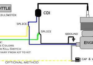 80cc Motorized Bicycle Wiring Diagram 80cc Bike Engine Wiring 80cc Motorized Bicycle Wiring Diagram 80cc Bike Engine Wiring
