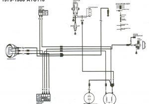 80cc Motorized Bicycle Wiring Diagram 80cc Engine Coil Wiring Diagram