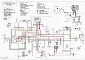 88 toyota Pickup Wiring Diagram 86 toyota Headlight Wiring Wiring Diagram Show