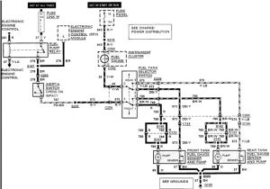 89 ford F150 Fuel Pump Wiring Diagram 1989 ford F 150 Fuel System Diagram 2 Tanks Wiring Diagram Expert