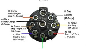 9 Pin Trailer Plug Wiring Diagram Pollak 9 Pole Round Pin Trailer socket Vehicle End Pollak