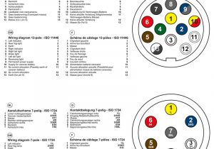 9 Pin Trailer Plug Wiring Diagram Trailer Lighting Led 343523 Pat Europe