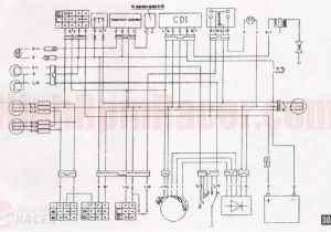 90cc atv Wiring Diagram Roketa Go Kart Wiring Diagram Wiring Diagrams Konsult