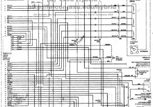 95 Civic Wiring Diagram Honda Engine Wiring Diagram Wiring Diagram Show 95 Civic Wiring Diagram Honda Engine Wiring Diagram Wiring Diagram Show